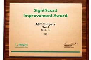 safety awards